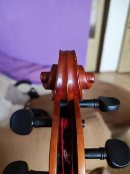 Viola 40.5 - 8