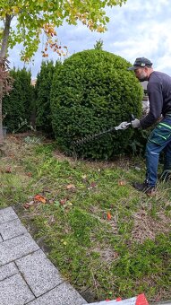 🌿 Profesionálne zimné záhradnícke služby🌿 Záhradník - 8