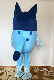 Maskot/kostým pes Bluey - 8