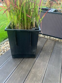 truhlík Lechuza trio cottage - 8