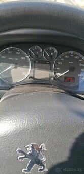 Peugeot 307 - 8