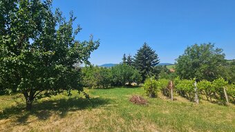Predaj rodinný dom Nitra - Veľký Lapáš, pozemok 2780 m2 - 8