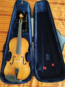 Viola - 8