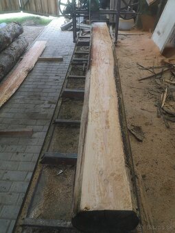 Kmeňova pásová pila - 8