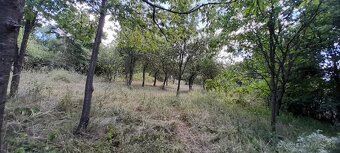 Pozemok obec Ľuboreč - 8