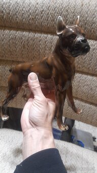 Afgánsky chrt-Keramos porcelán 100% stav, boxer - 8
