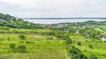 Vinica, dobrý prístup a pekné výhľady - 8