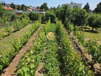 Na PREDAJ RD Zobor s krásnym pozemkom 941m2 - 8