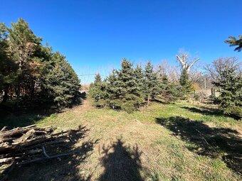 Na predaj | Stavebný pozemok 1398 m² - Topoľnica - 8