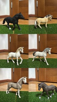 Schleich kone - 8