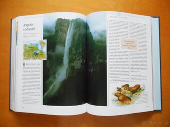 Kniha Čarovný svet - 8