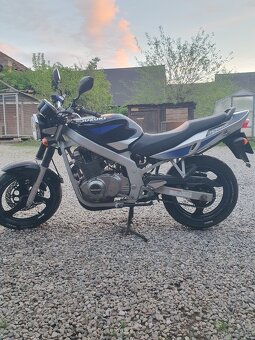 Predam suzuki gs 500 - 8