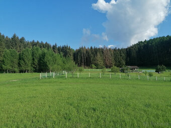 PREDÁM REKREAČNÝ POZEMOK POD LESOM VO VIŠŇOVOM - 8