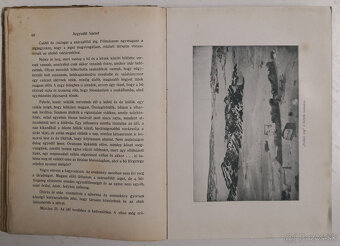 A sarkvidék remetéje 1916 - 8