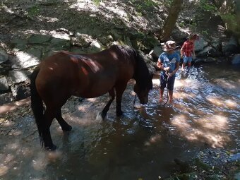 Jazdenie na koňoch - 8