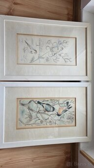 Predam obrazy od Holleho - 8