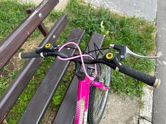 Kenzel Compact 26” - 8