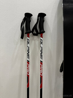 Detské lyže Dobermann, palice - 8