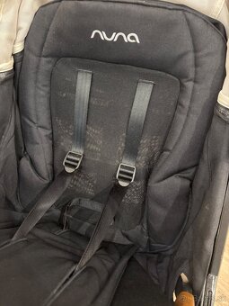 Kočík Nuna v top stave - 8
