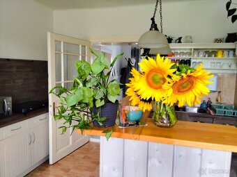 Na predaj zaujímavá nehnuteľnosť,, usadlosť - 8