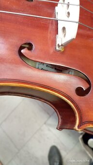PREDAM OROFESIONALNU VIOLU - 8