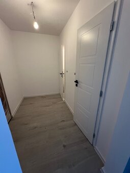 Novo zrekonštr. 2 izb. byt s loggiou, P.Horova - 8