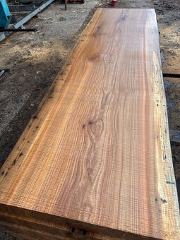 Rezivo Brest Brestove Fošne Kmene Drevo - 8