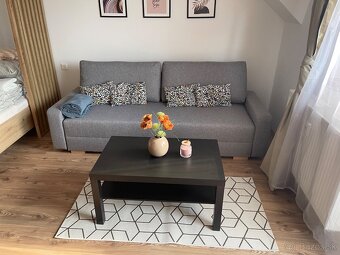 Apartmán v pavčinej lehote -Demänovská dolina-Jasná - 8