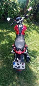 Benelli BN251 - 8