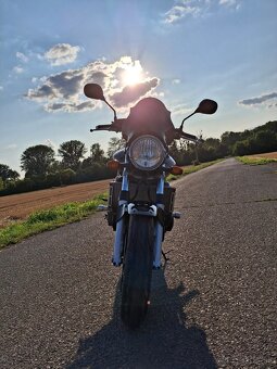 HONDA CB900 Hornet - 8