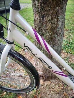 Damsky retro bicykel - 8