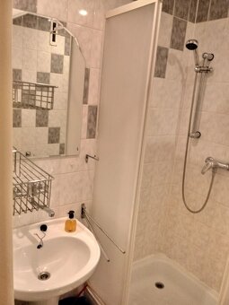 Prenajmem 1-izbový byt, Pluhová ulica, blízko pri OC VIVO - 8