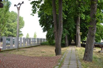 Prenájom pozemku, Lúčky Holíč - 8