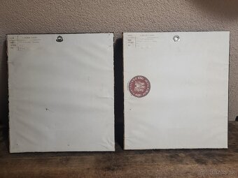 Vladimír Plachý - 8