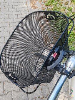 Bicykel retro - 8