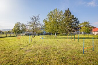 Predám svoje „dieťa“ – psí hotel Pes na dovolenke + dom, 30 - 8