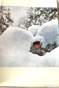 pohraniční stráž Stráže na Pomezí z útvaru - 8