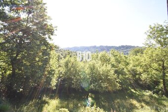 Novučká, po dreve voňajúca chata na samote – Kolárovice pri  - 8