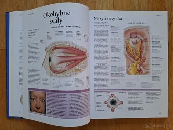 Ludske telo - atlas anatomie cloveka - 8