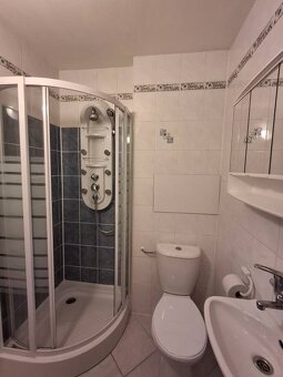 Ponúkame na prenájom 1 izbový byt s balkónom v časti Priekop - 8