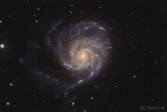 Skywatcher heq5pro - 8