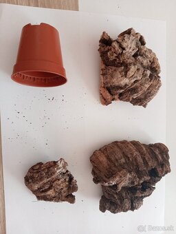 Menšie terárium na predaj - 8
