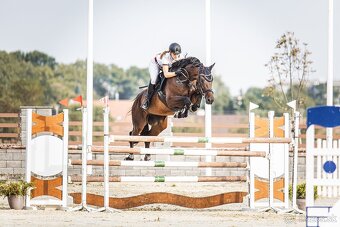 Sigma 60-600 canon - 8