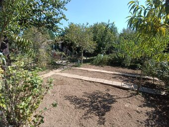 Zahrada v zahradkarskej osade v Sali - 8