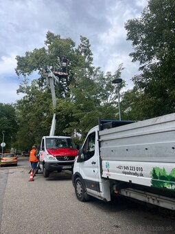 Arboristika, záhradnícke práce - 8