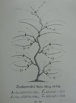 REZERVOVANÉ Naše rodinné záhrady I.-II., vydané v r. 1931 - 8
