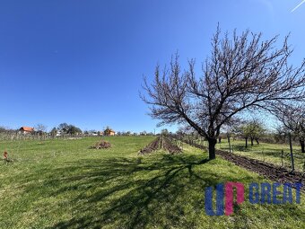 Pozemok s nádherným výhľadom na Skalicu–vinohrad so sklepom - 8