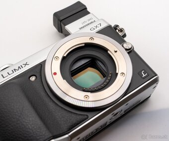 Panasonic Lumix DMC - GX7 + Lumix G Vario 14-42 - 8