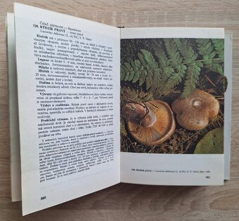 Huby lesov, poli a luk - 8