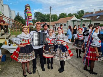 Harmonikár, akordeonista, živá hudba - 8